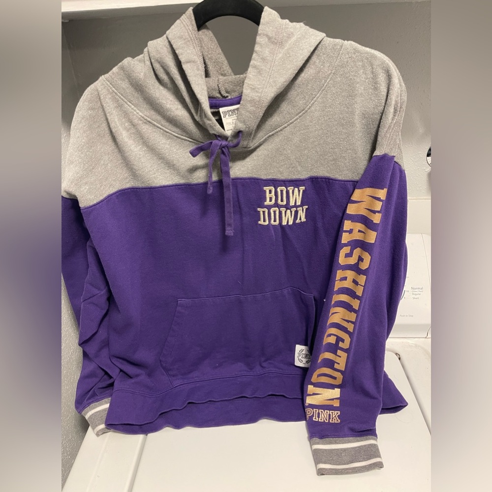 Pink: University of Washington Huskies Hoodie